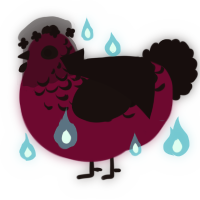 A maroon and black chicken with a half-lace pattern
