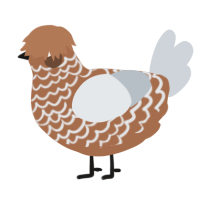 A brown and mist chicken with a lace pattern