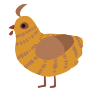 A orange and brown chicken with a bar pattern