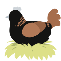A black and brown chicken with a neck-band pattern