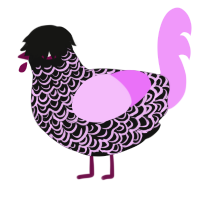 A black and lavender chicken with a double-lace pattern