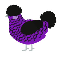 A violet and black chicken with a lace pattern