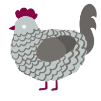 A silver and grey chicken with a lace pattern
