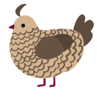 A beige and bark chicken with a lace pattern