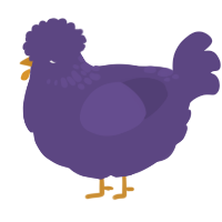 A overcast chicken with a neck-speckle pattern
