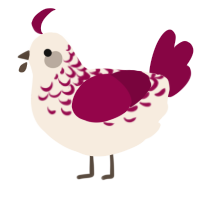 A cream and maroon chicken with a half-lace pattern