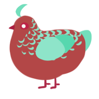 A red and mint chicken with a half-lace pattern