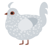 A mist chicken with a speckle pattern