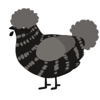 A sable and grey chicken with a bar pattern