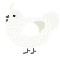 A white chicken with a lace pattern