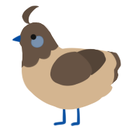 A beige and bark chicken with a head pattern