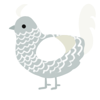 A silver and white chicken with a lace pattern