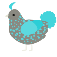 A ash and aqua chicken with a speckle pattern