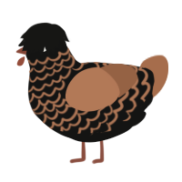 A black and brown chicken with a lace pattern