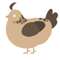 A beige and bark chicken with a neck-speckle pattern