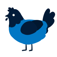 A sapphire and tumblr chicken with a head pattern