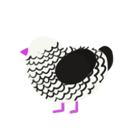 Yoinky Sploinky 2, a white and sable chicken with a lace pattern