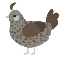 A ash and bark chicken with a speckle pattern