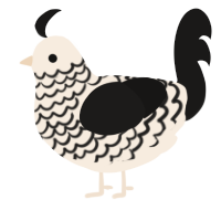 A cream and sable chicken with a lace pattern