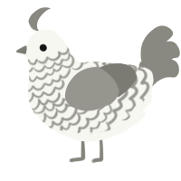 A white and ash chicken with a lace pattern