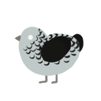 Graphite Shavings, a silver and black chicken with a half-lace pattern