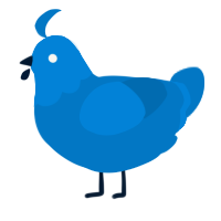 A sapphire chicken with a head pattern