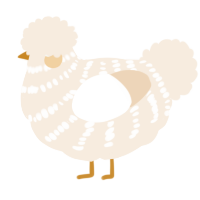 A cream chicken with a bar pattern