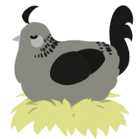 A ash and sable chicken with a neck-band pattern