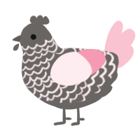 A grey and rose chicken with a lace pattern