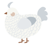 A white and mist chicken with a lace pattern