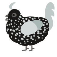 A sable and silver chicken with a speckle pattern