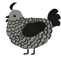 A ash and sable chicken with a lace pattern