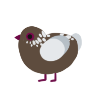 (unnamed), a bark and mist chicken with a neck-speckle pattern