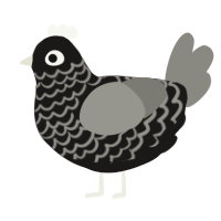 A sable and ash chicken with a lace pattern