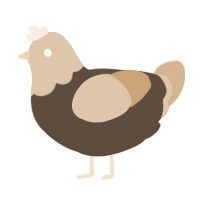 A bark and beige chicken with a head pattern