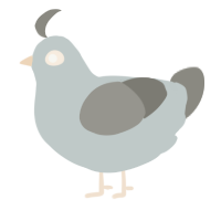 A silver and ash chicken