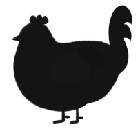 A black chicken with a lace pattern