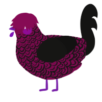 A wine and black chicken with a double-lace pattern