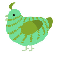 A spring and chartreuse chicken with a bar pattern