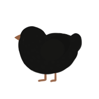 Dark Chocolate, a black chicken with a speckle pattern