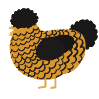 A orange and sable chicken with a lace pattern