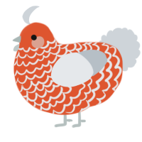 A vermilion and mist chicken with a lace pattern