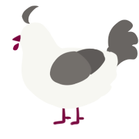 A white and grey chicken