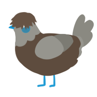 A bark and ash chicken with a head pattern