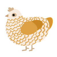 A cream and orange chicken with a lace pattern