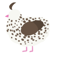 A white and bark chicken with a speckle pattern