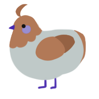 A silver and brown chicken with a head pattern