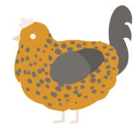 A orange and grey chicken with a speckle pattern