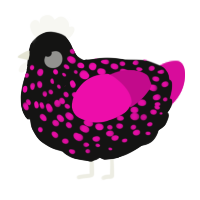 A black and fuchsia chicken with a speckle pattern