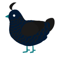 A tumblr and sable chicken with a lace pattern